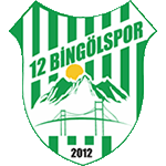 12 Bingöl Spor logo